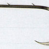 Fiskekrok-349B Abru 10 stk. str.1-12 og 1/0-4/0